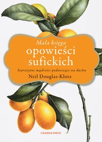 Mała księga opowieści sufickich - Neil Douglas-Klotz - ebook