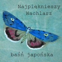 Najpiękniejszy Wachlarz. Baśń Japońska - Małgorzata Cudak - audiobook