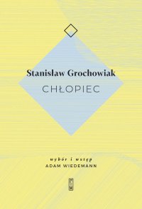 Chłopiec - Stanisław Grochowiak - ebook