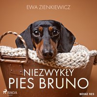 Niezwykły pies Bruno - Ewa Zienkiewicz - audiobook