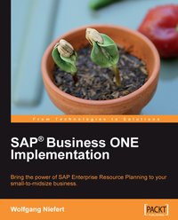 SAP Business ONE Implementation - Wolfgang Niefert - ebook