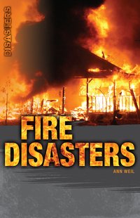 Fire Disasters - Ann Weil - ebook