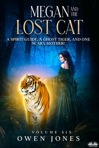 Megan And The Lost Cat - Owen Jones - ebook