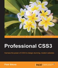 Professional CSS3 - Piotr Sikora - ebook