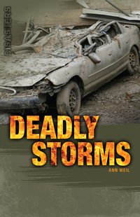 Deadly Storms - Ann Weil - ebook