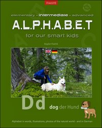 Intermediate Alphabet - Bogdan Kladnik - ebook