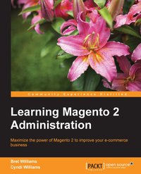 Learning Magento 2 Administration - Bret Williams - ebook