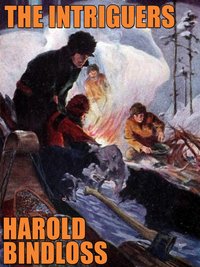 The Intriguers - Harold Bindloss - ebook