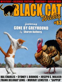 Black Cat Weekly #63 - Sharyn Kolberg - ebook