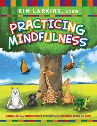 Practicing Mindfulness - Kim Larkins - ebook