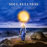 Soul-Fullness - Tosin King James - audiobook