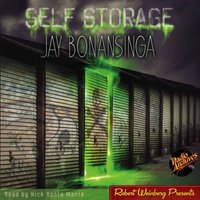 Self Storage - Nick Santa Maria - audiobook