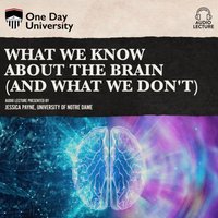 What We Know About the Brain (and What We Don't) - Jessica Payne - audiobook