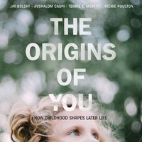 Origins of You - Jay Belsky - audiobook