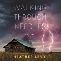 Walking Through Needles - Heather Levy - audiobook