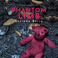 Phantom Limb - Lucinda Berry - audiobook