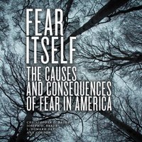 Fear Itself - Ann Gordon - audiobook