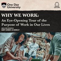 Why We Work - Barry Schwartz - audiobook