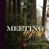 Meeting Again - Elyzabeth M VaLey - audiobook