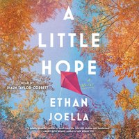 Little Hope - Ethan Joella - audiobook