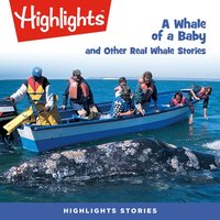 Whale of a Baby and Other Real Whale Stories - Highlights For Children - audiobook