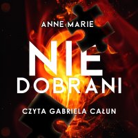 Niedobrani - Anna Stachowiak - audiobook