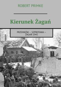 Kierunek Żagań - Robert Primke - ebook