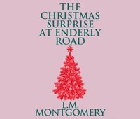 Christmas Surprise at Enderly Road - Susie Berneis - audiobook