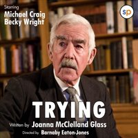 Trying - Joanna McClelland Glass - audiobook