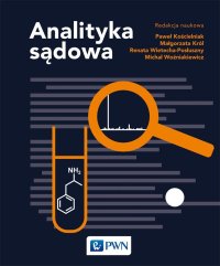 Analityka sądowa - Paweł Kościelniak - ebook