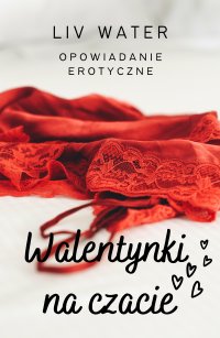 Walentynki na czacie. Opowiadanie erotyczne - Liv Water - ebook