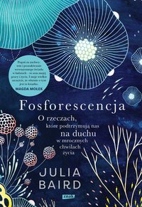 Fosforescencja. O rzeczach, które podtrzymują nas na duchu w mrocznych chwilach życia - Julia Baird - ebook