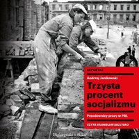 Trzysta procent socjalizmu - Andrzej Janikowski - audiobook