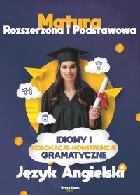 Idiomy i kolokacje w konstrukcjach  gramatycznych - Beata Kurec - ebook