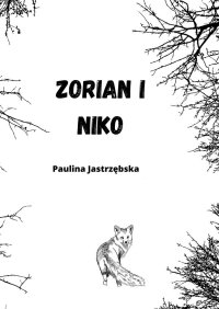 Zorian i Niko - Paulina Jastrzębska - ebook