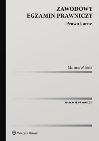 Zawodowy egzamin prawniczy. Prawo karne - Mateusz Woiński - ebook