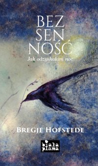 Bezsenność - Bregje Hofstede - ebook