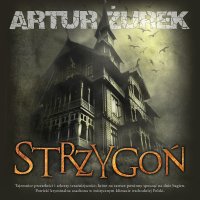 Strzygoń - Artur Żurek - audiobook