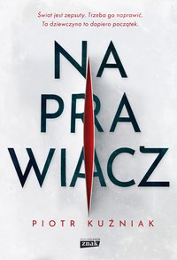 Naprawiacz - Piotr Kuźniak - ebook
