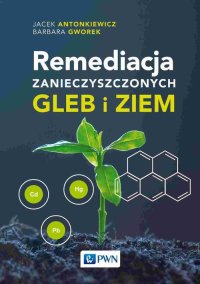 Remediacja zanieczyszczonych gleb i ziem - Jacek Antonkiewicz - ebook