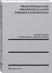 Przeciwdziałanie niedopuszczalnym formom zatrudnienia - Jarosław Błaszczak - ebook