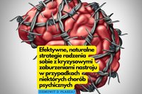 Efektywne, naturalne strategie radzenia sobie z kryzysowymi zaburzeniami nastroju w przypadku niektórych chorób psychicznych. - Ziemowit D. Płaszaj - ebook