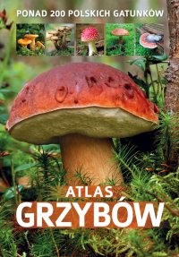 Atlas grzybów - Patrycja Zarawska - ebook