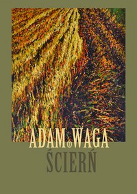 Ścierń - Adam Waga - ebook