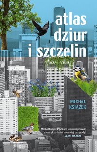 Atlas dziur i szczelin - Michał Książek - ebook