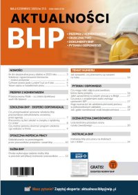 Aktualności BHP. Maj/Czerwiec 2023/213 - Opracowanie zbiorowe - ebook