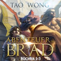 Abenteuer in Brad Bücher 1 - 3 - Tao Wong - audiobook