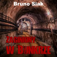 Zaginiony w bunkrze - Bruno Siak - audiobook