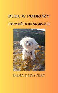 Bubu w podróży  - opowieść o reinkarnacji - India's Mystery - ebook