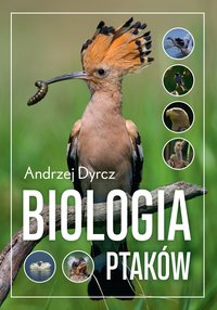 Biologia ptaków - Andrzej Dyrcz - ebook
